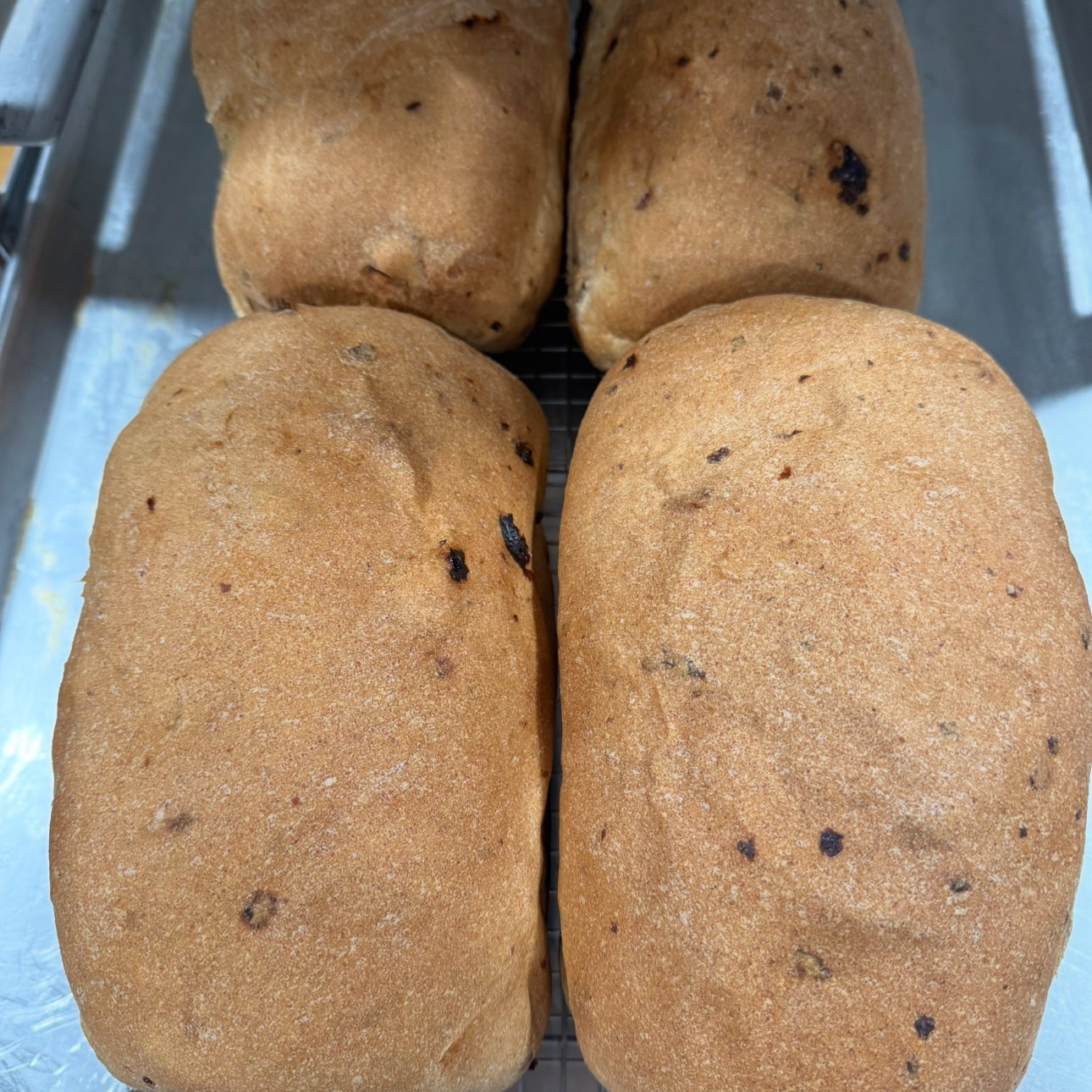 Whole Wheat Raisin Bread
