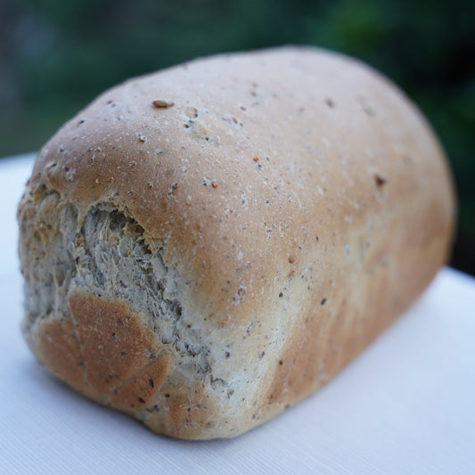Omega Bread